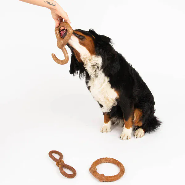 Silver Paw Bambooz Recycled Bamboo Fiber Dog Toys 3-Pack; Large - Image 3