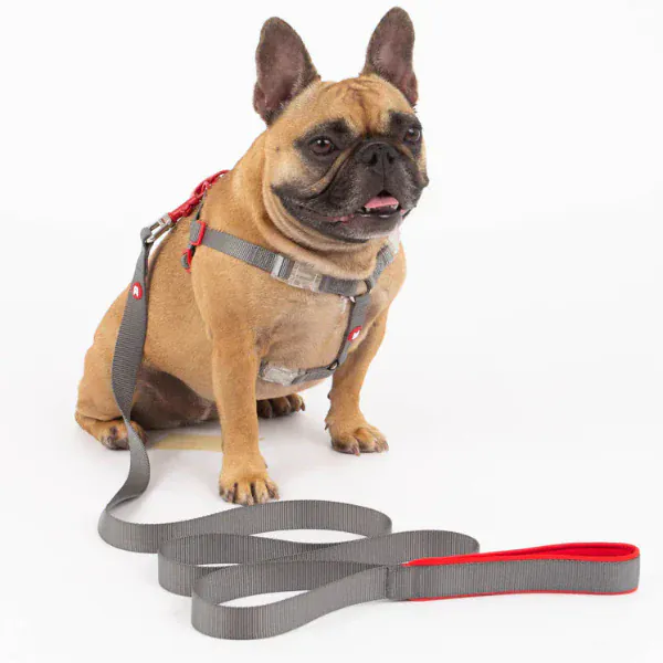 Silver Paw Maximus Webbing Grey Dog Leash