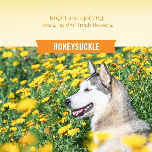 Skout's Honor Probiotic Deodorizer - Image 3