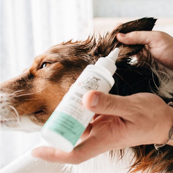 Skout's Honor Probiotic Ear Cleaner - Image 3