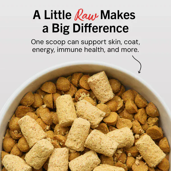 Stella & Chewy's Chicken Meal Mixers - Image 2