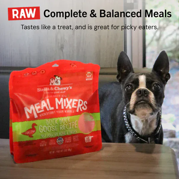 Stella & Chewy's Duck Duck Goose Meal Mixers - Image 11