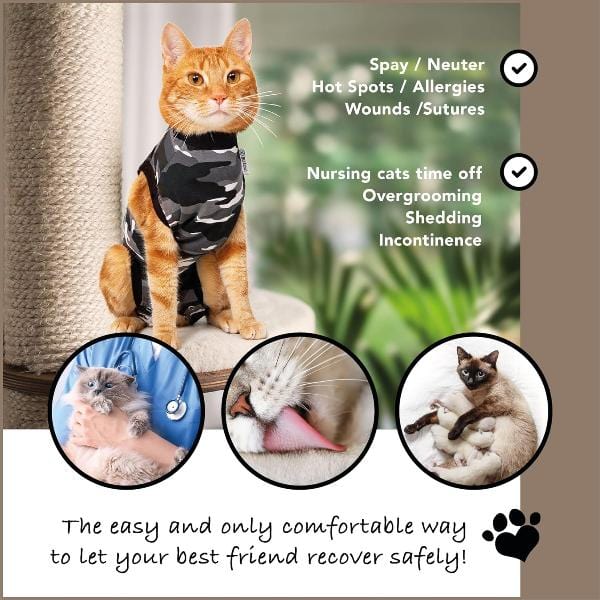 Suitical Recovery Suit for Cats - Image 3