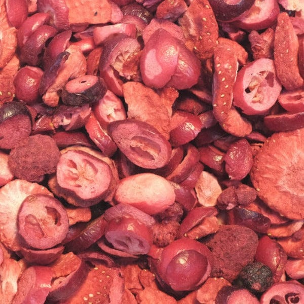 Sunburst Freeze Dried Berry Patch for Small Animals - Image 2
