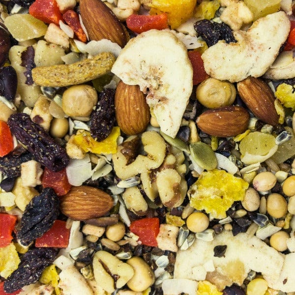 Sunburst Fruits to Nuts Gourmet Natural Bird Treats - Image 2