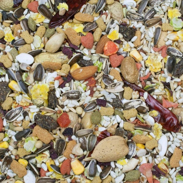 Sunburst Gourmet Blend Parrot Food - Image 2