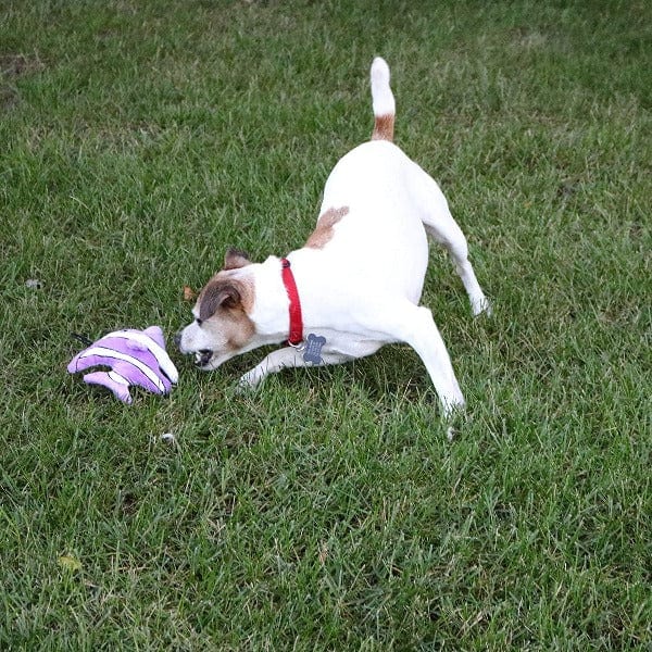 tender-tuffs Tiny Angelfish Plush Dog Toy - Image 4