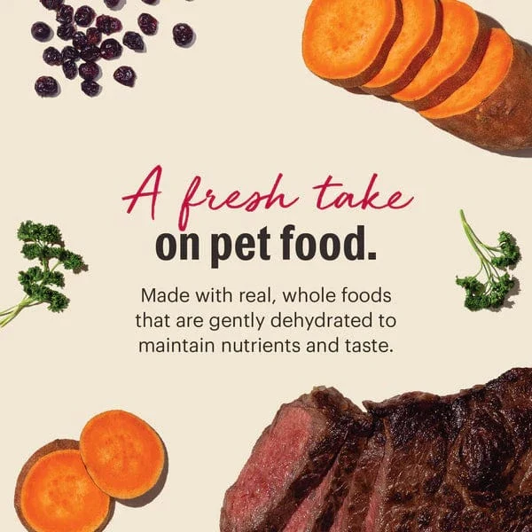 The Honest Kitchen WholeMade | Grain Free Beef Recipe Dehydrated Dog Food, 10lb (SPECIAL ORDER ITEM) - Image 3