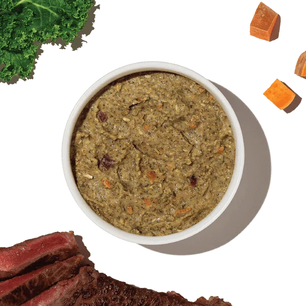 The Honest Kitchen WholeMade | Grain Free Beef Recipe Dehydrated Dog Food, 10lb (SPECIAL ORDER ITEM) - Image 9