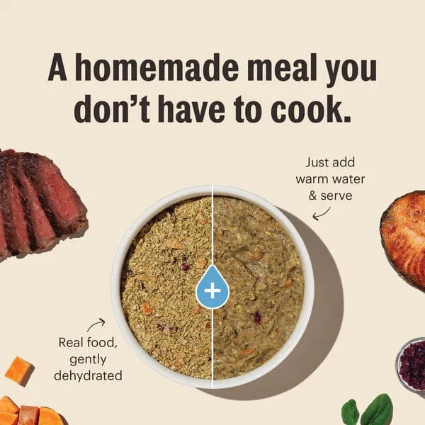The Honest Kitchen WholeMade | Limited Ingredient Beef Recipe Dehydrated Dog Food, 10lb (SPECIAL ORDER ITEM) - Image 4