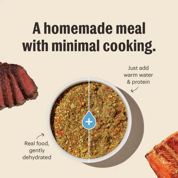 The Honest Kitchen WholeMade | Base Mix Grain Free Veggie, Nut & Seed Dehydrated Dog Food (SPECIAL ORDER ITEM) - Image 4