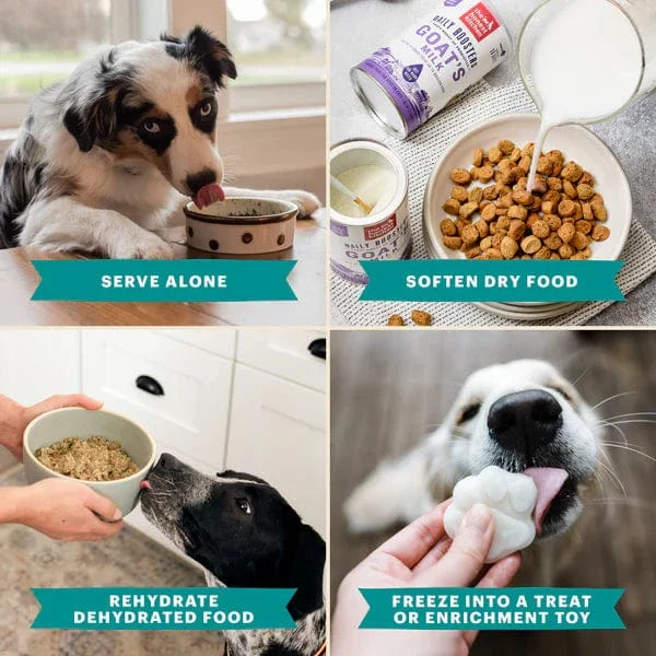 The Honest Kitchen Daily Boosters | Instant Beef Bone Broth - Image 5