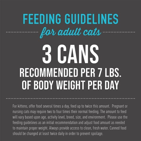 Tiki Cat After Dark | Chicken & Quail Egg Recipe Canned Cat Food - Image 6