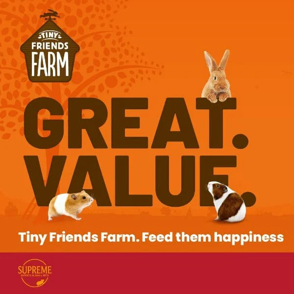 Tiny Friends Farm; Hazel Hamster Lovelies Treat - Image 3