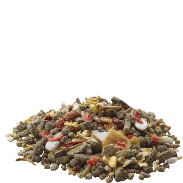 Versele-Laga Nature Gerbil Food - Image 2