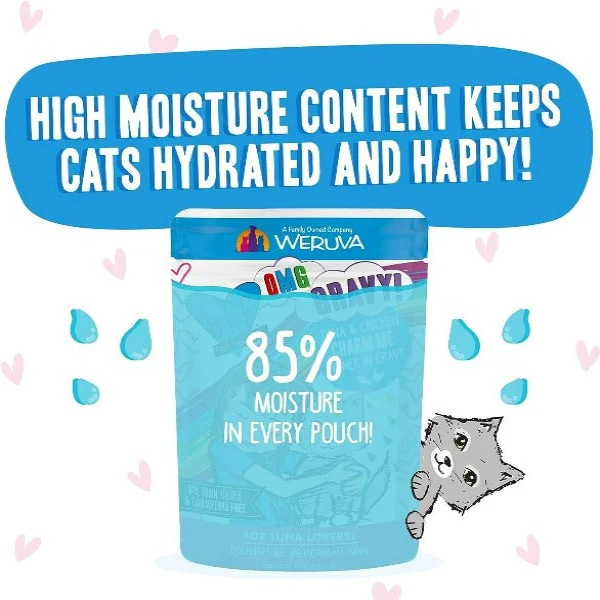B.F.F. Charm Me Tuna & Chicken Dinner in Gravy Pouch Cat Food - Image 3