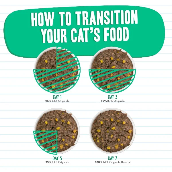 B.F.F. Tuna & Pumpkin Valentine Canned Cat Food - Image 7