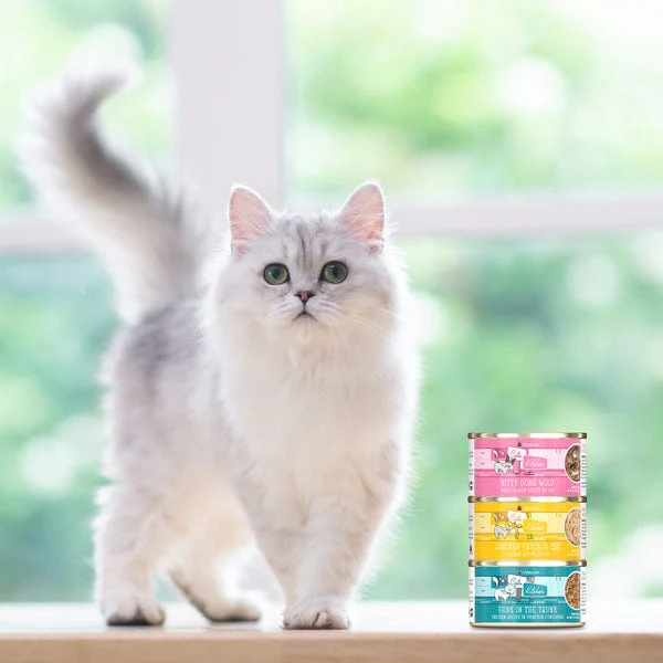 Cats in the Kitchen Kitty Gone Wild Canned Food - Image 7