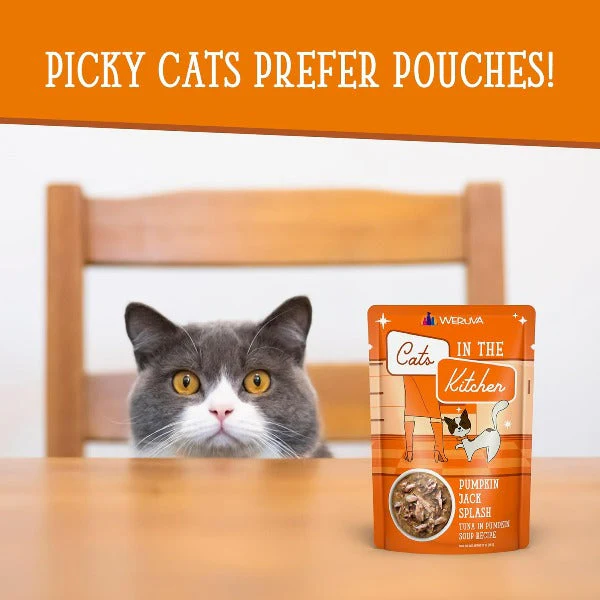 Cats in the Kitchen Pumpkin Jack Splash Pouch Cat Food - Image 7
