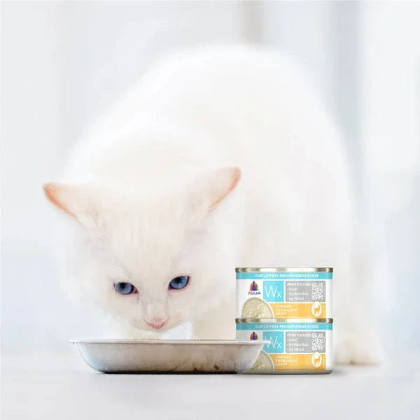 Weruva Wx Phos Focused Chicken in Gravy Canned Cat Food Supplement, 3oz - Image 7