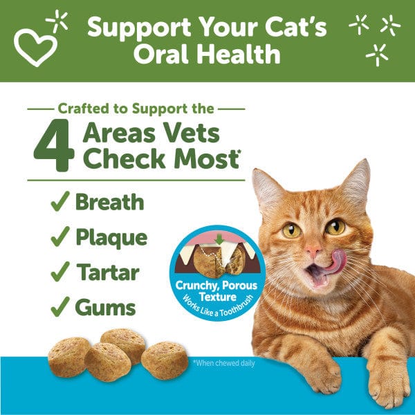 Whimzees Chicken & Tuna Natural Dental Cat Treats - Image 2