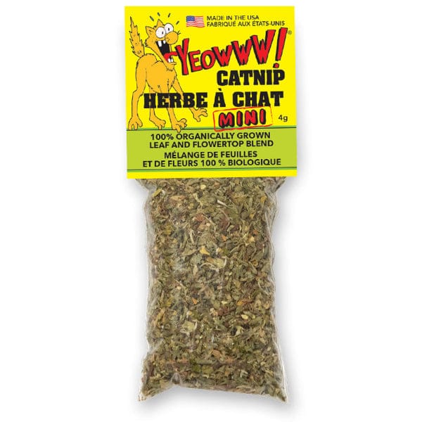 Yeowww! Catnip