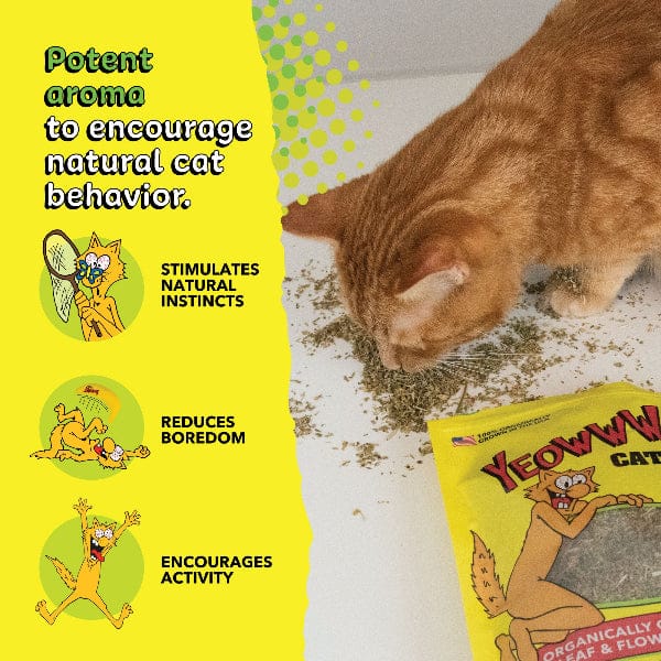 Yeowww! Catnip - Image 2