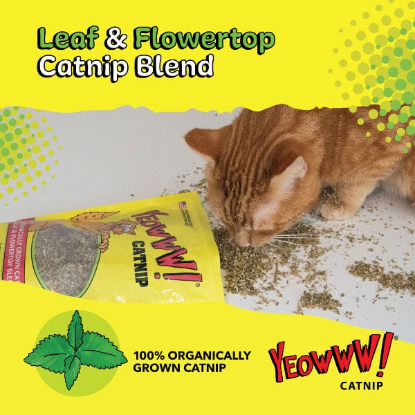 Yeowww! Catnip - Image 3
