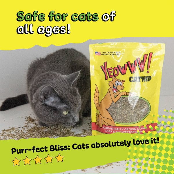 Yeowww! Catnip - Image 4