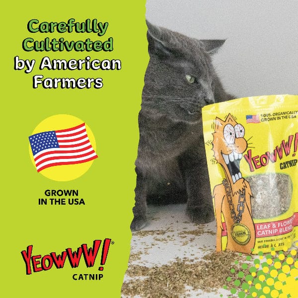 Yeowww! Catnip - Image 5