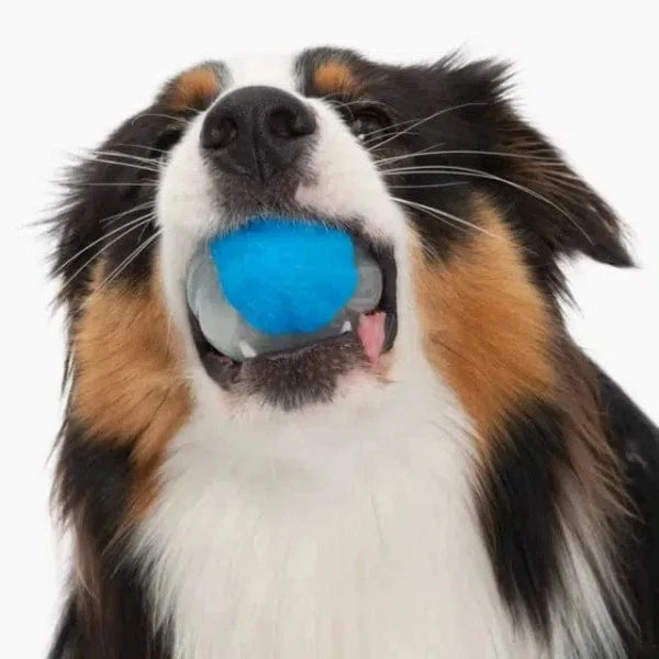Zeus Duo Ball Toy; Glow and Squeaker - Image 3