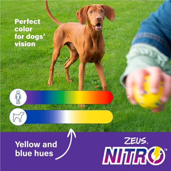 Zeus NITRO Weighted Ring - Image 4