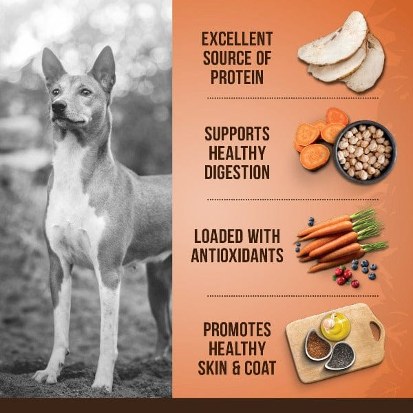 Zoë Dog Medium Breed Turkey, Chickpea & Sweet Potato Dry Dog Food, 5kg - Image 2