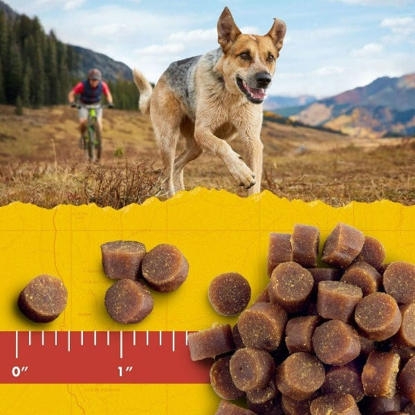 Zuke's Mini Naturals Chicken Recipe Dog Treats - Image 3