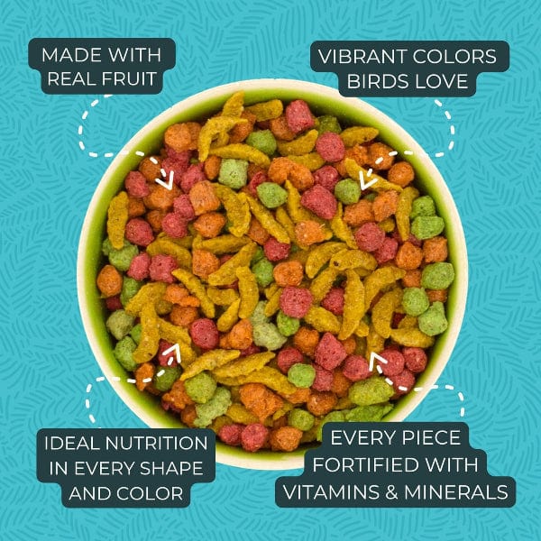 ZuPreem FruitBlend Flavor Bird Food, Medium - Image 3